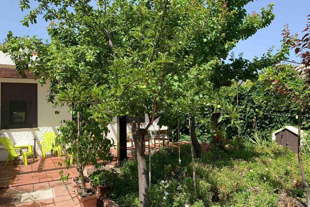 Villa Casa tranquilla a pochissimi passi dal mare Sant'Andrea  Esterno foto