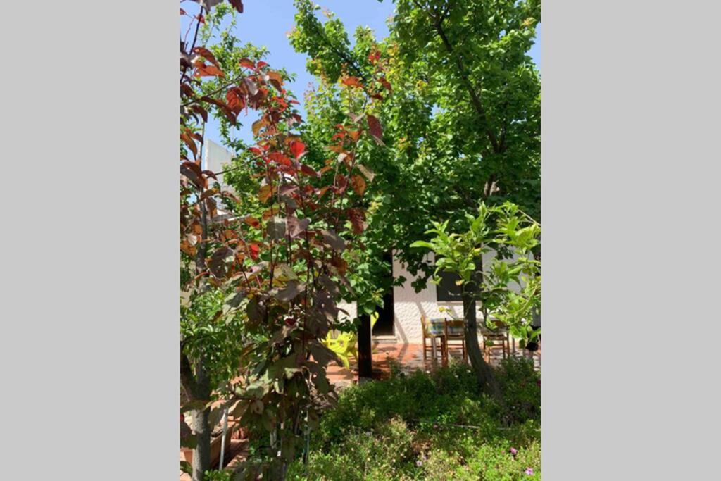 Villa Casa tranquilla a pochissimi passi dal mare Sant'Andrea  Esterno foto