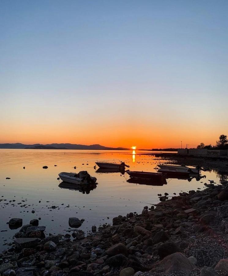Villa Casa tranquilla a pochissimi passi dal mare Sant'Andrea  Esterno foto