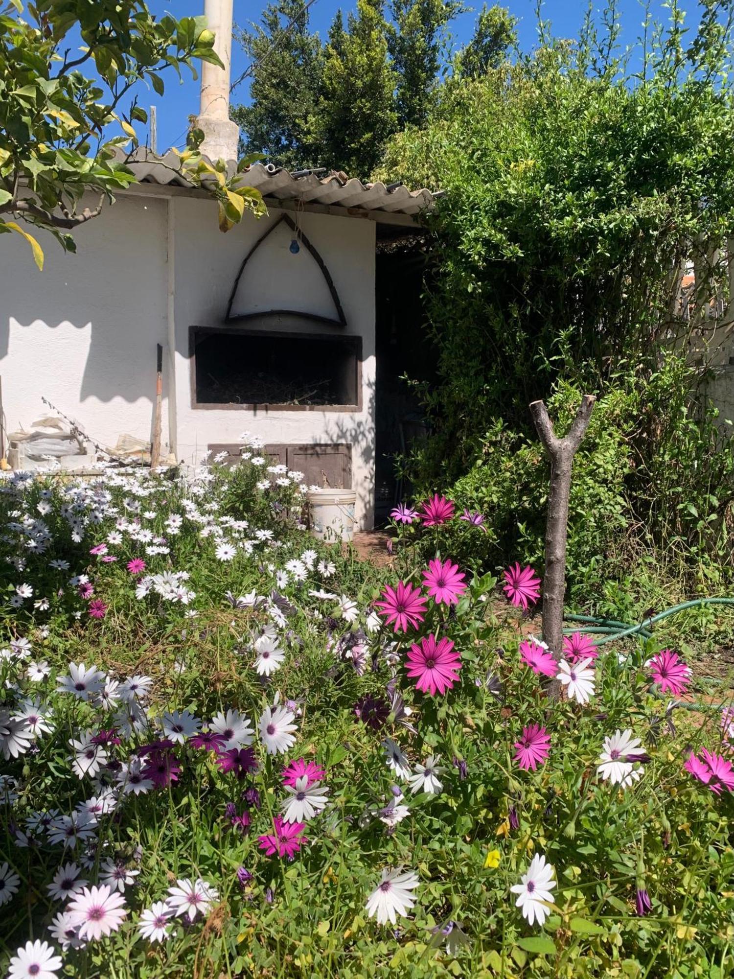 Villa Casa tranquilla a pochissimi passi dal mare Sant'Andrea  Esterno foto